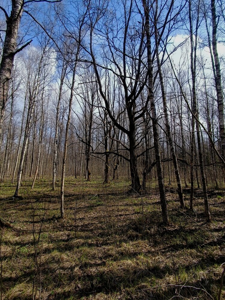 Photo #13820218