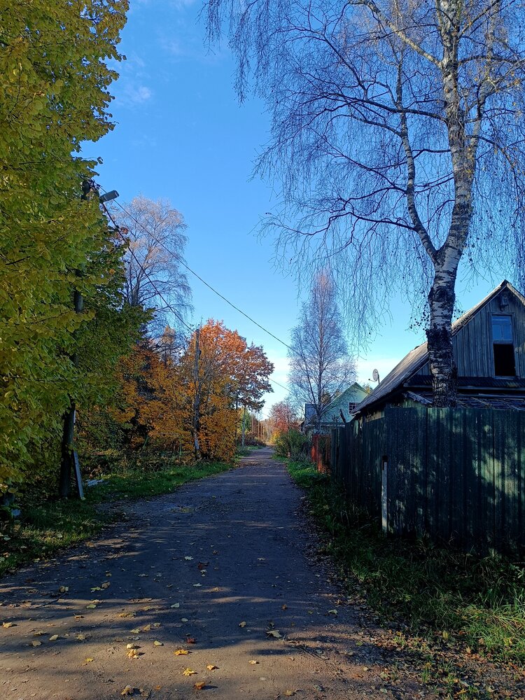 Photo #13820232