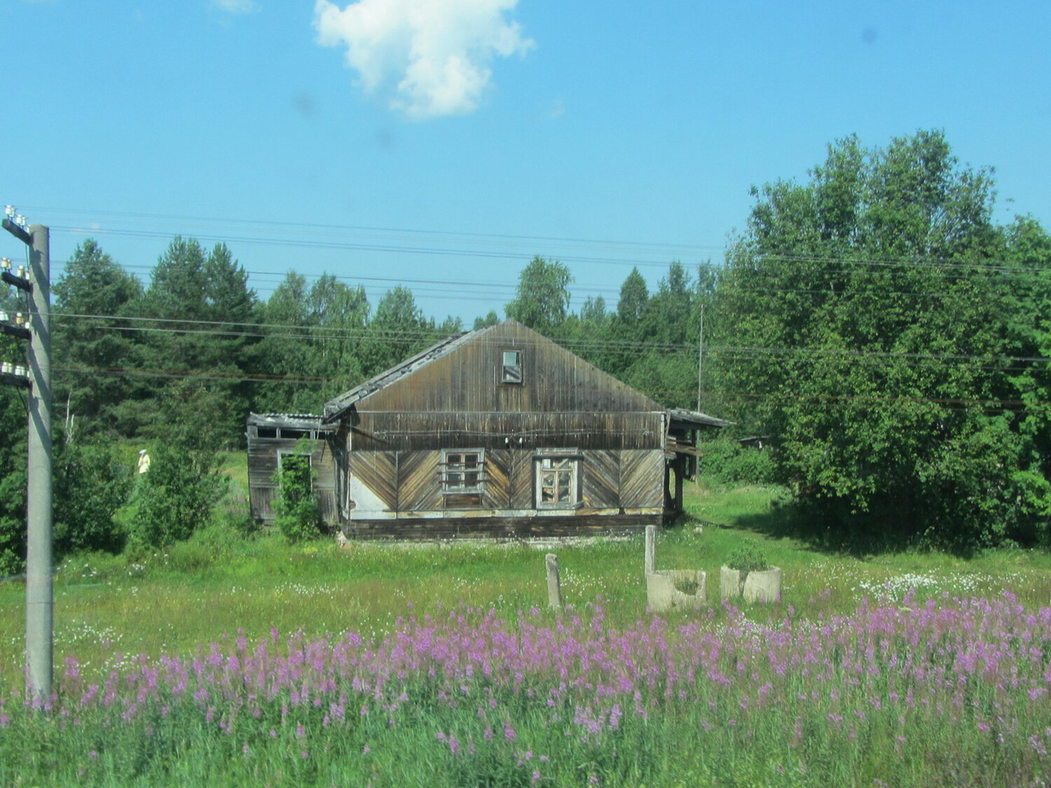 Photo #13820252