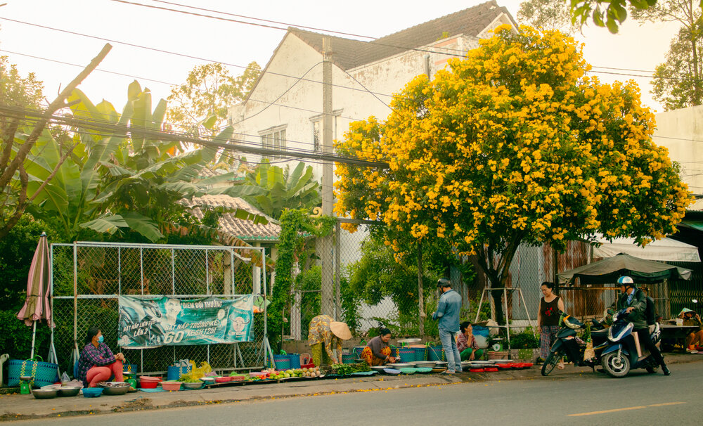 Photograph by Huy Hoang Do