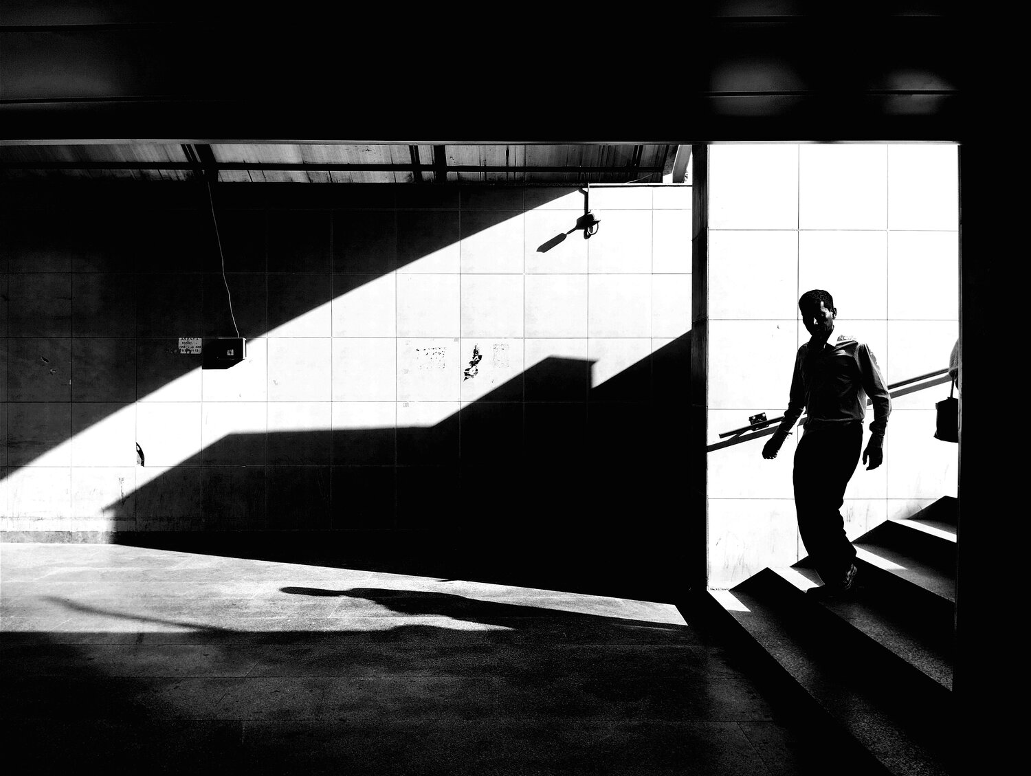 Photo #13820316