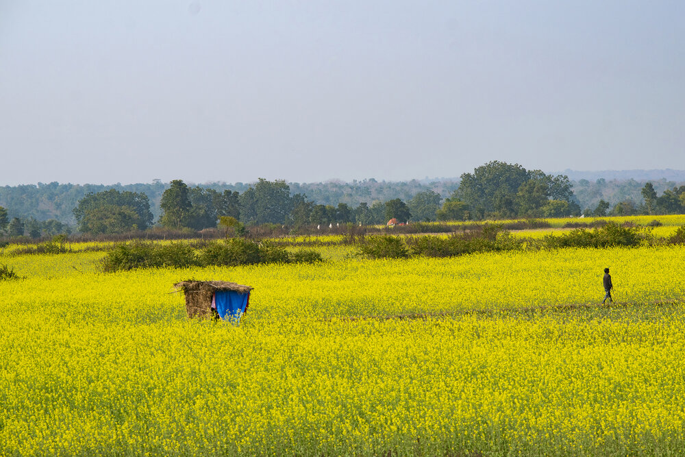 Photograph by shashiranjan prakash
