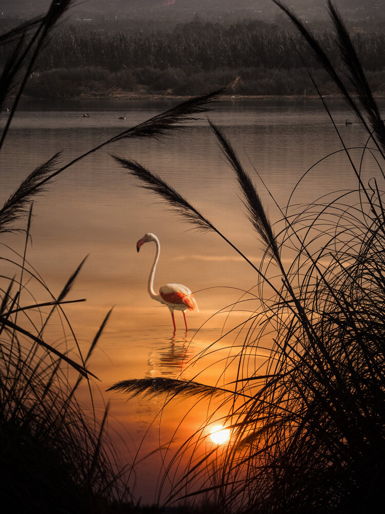 Photograph by Olga Schmidt