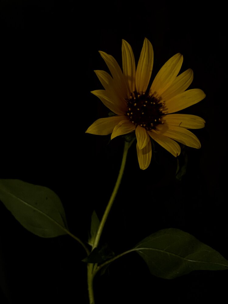 Photograph by Динара