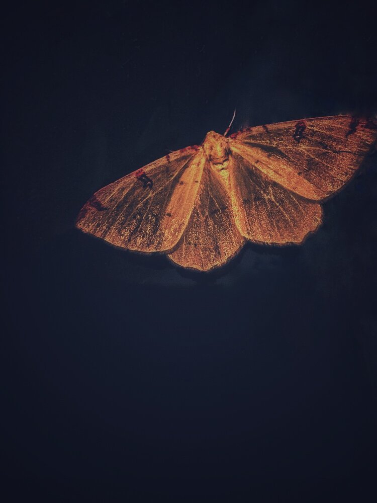 Photograph by Динара