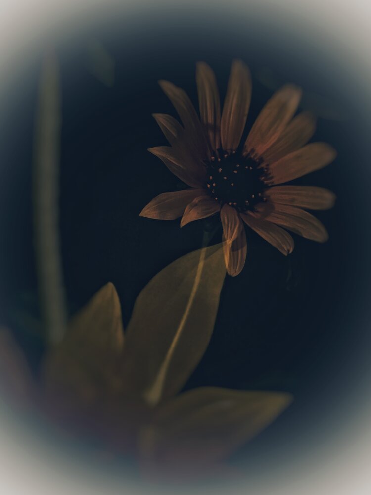 Photograph by Динара