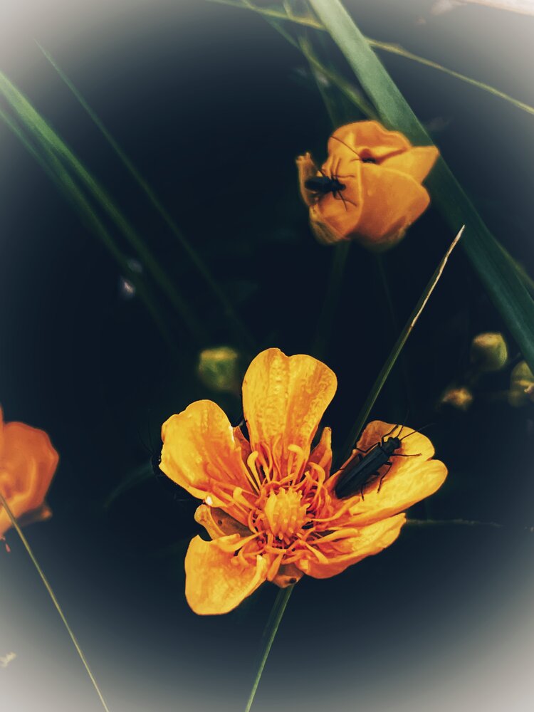 Photograph by Динара