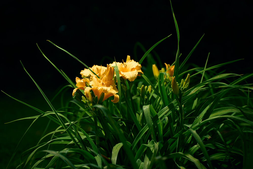 Photograph by Юрий Линевич