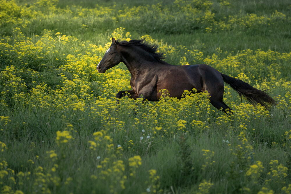 Photograph by Dina Damotseva
