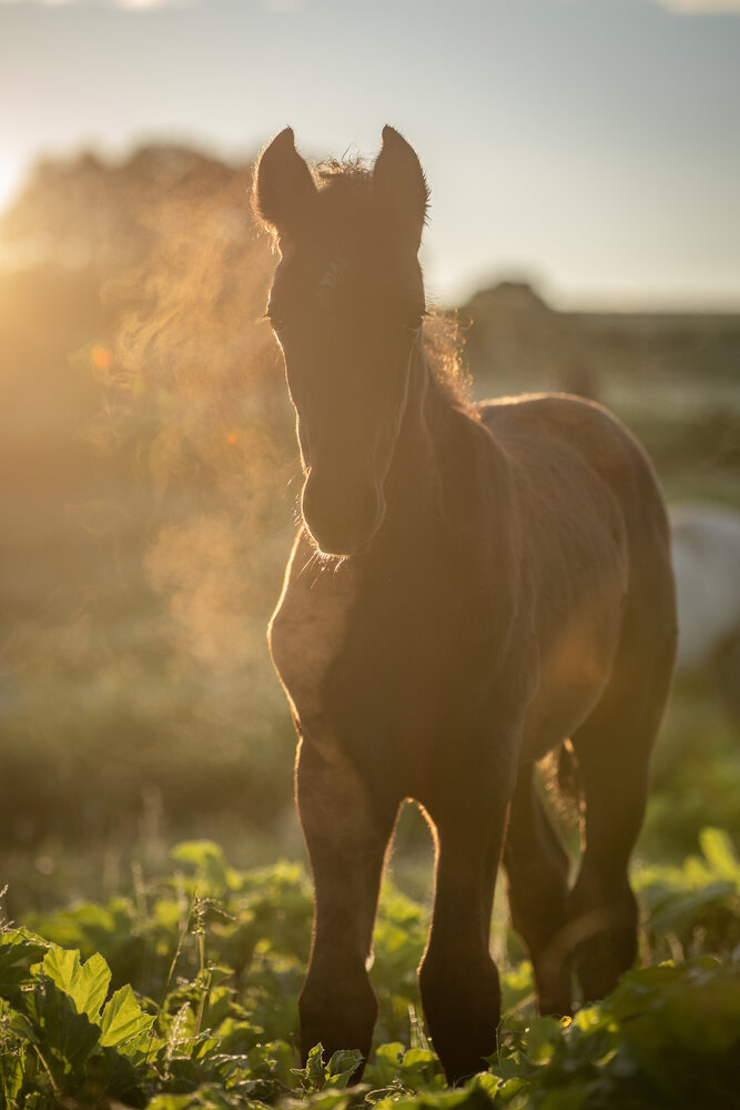 Photograph by Dina Damotseva
