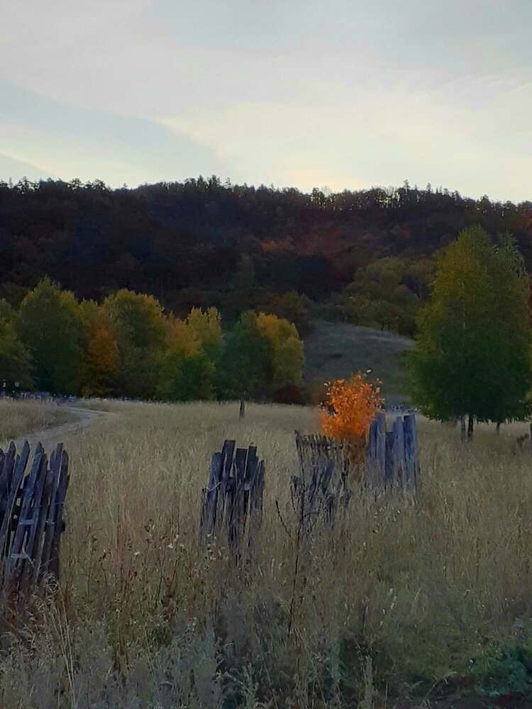 Photograph by Марина Ткаченко