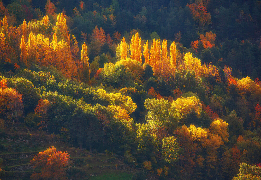 Photograph by Рашид Усманов
