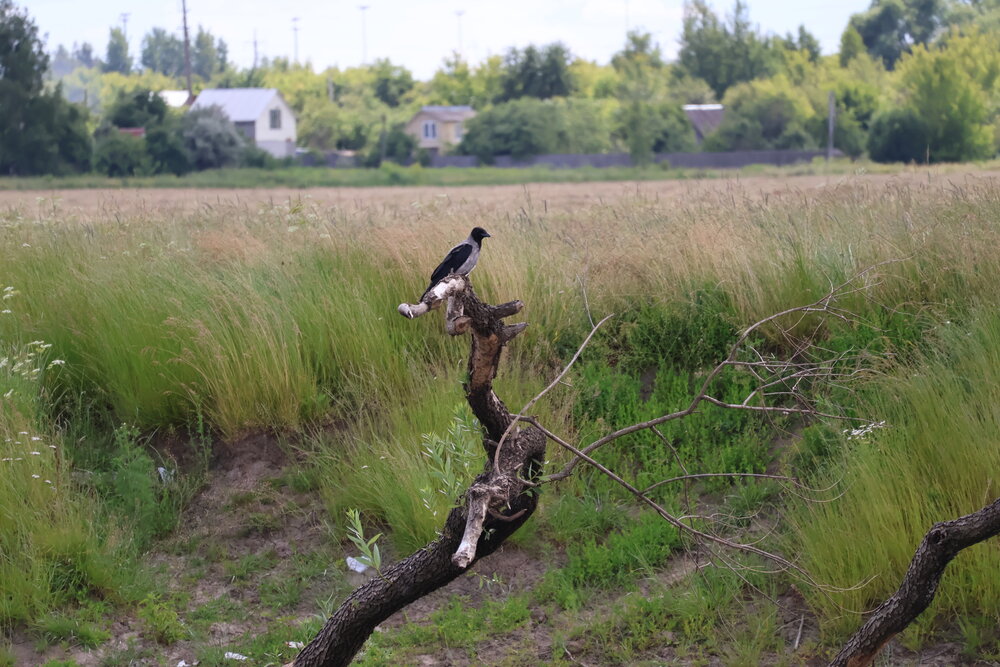 Photograph by Надежда Турсунова