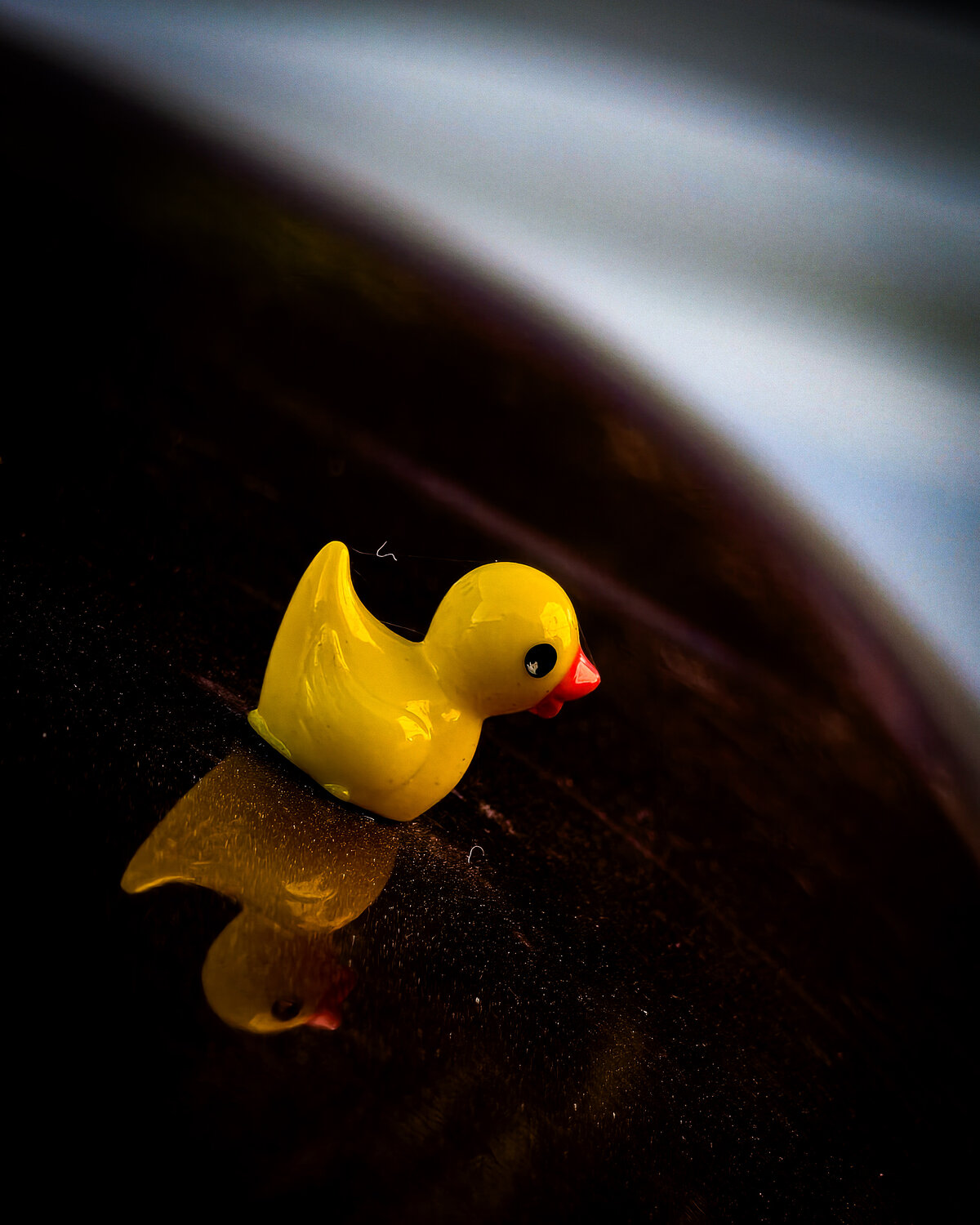 Small yellow