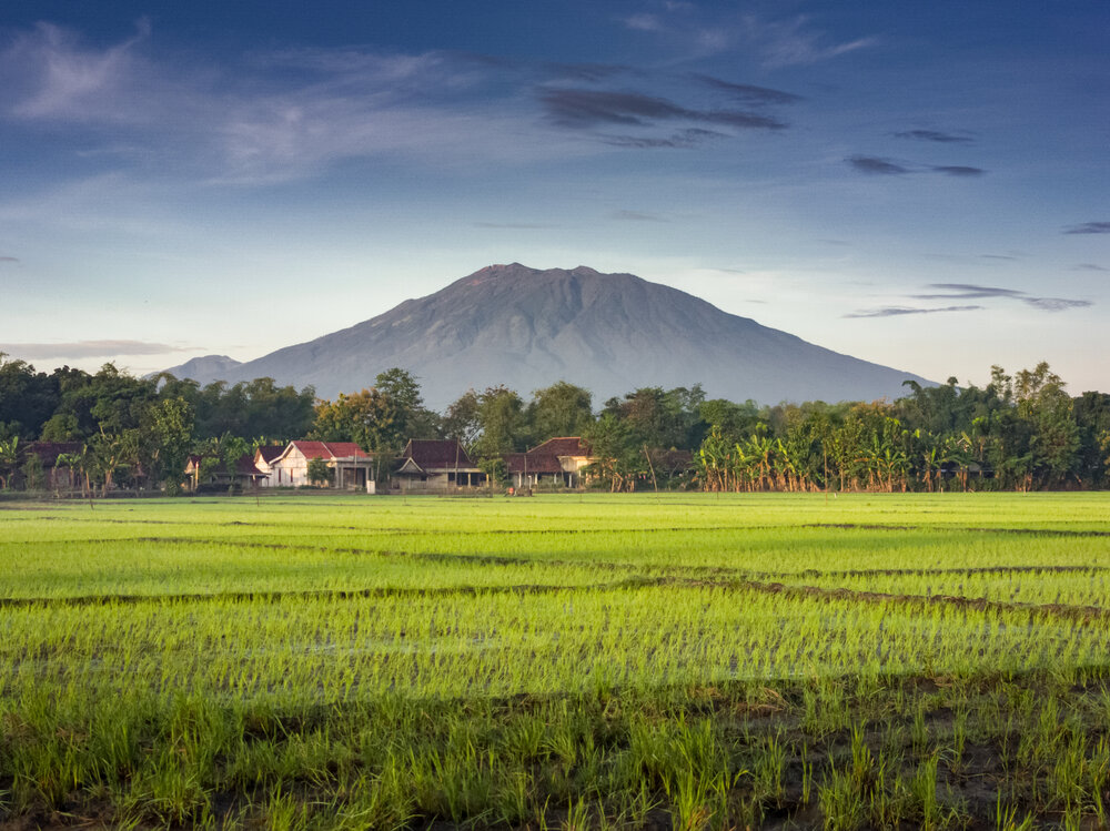Landscape of nature