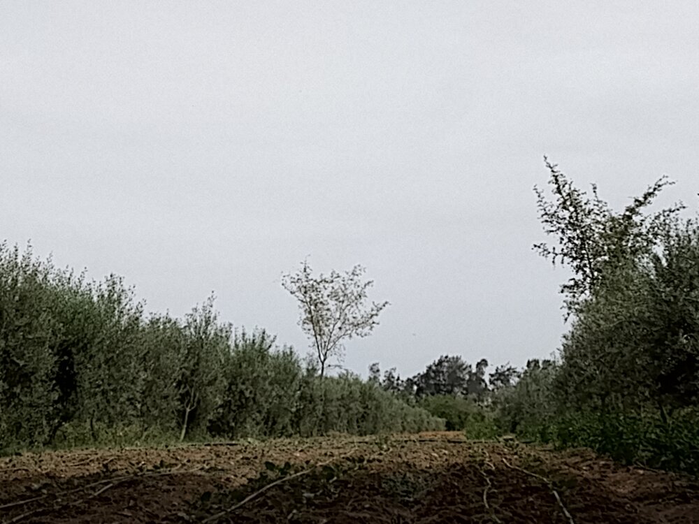 Photo #13820661