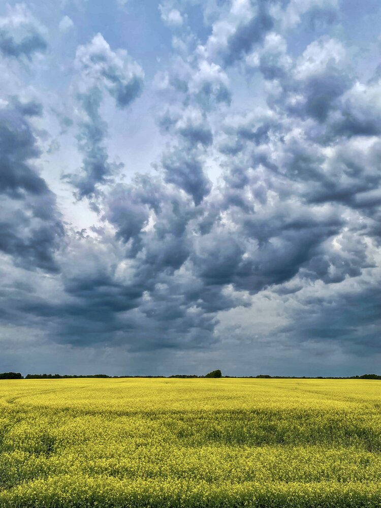 Photograph by Татьяна Раковская