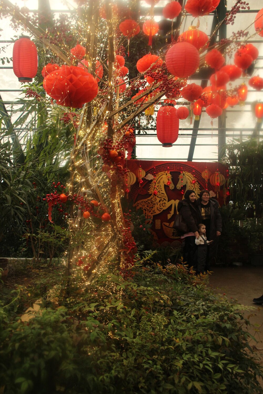 Photo #13820702