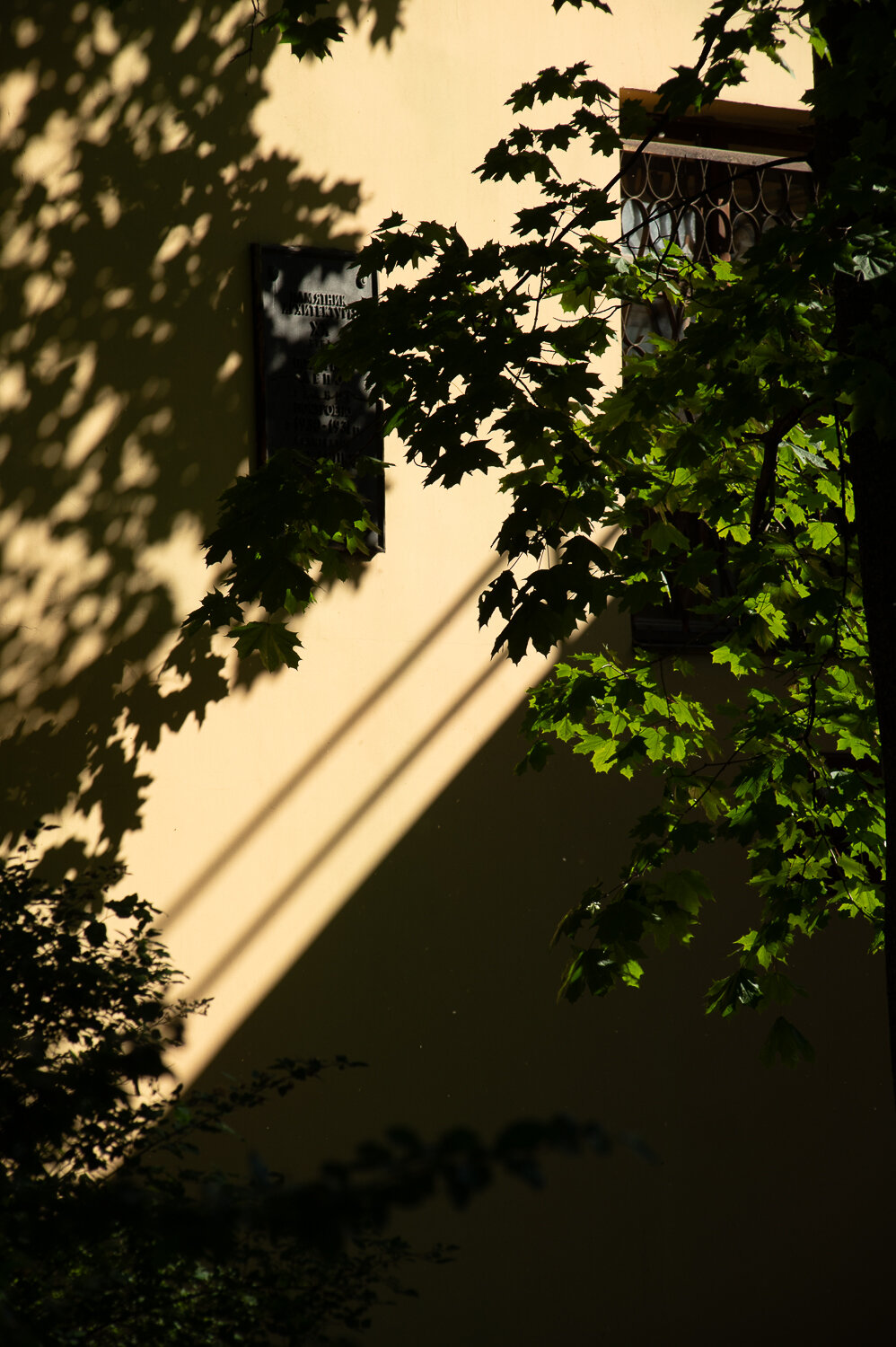 Photo #13820704