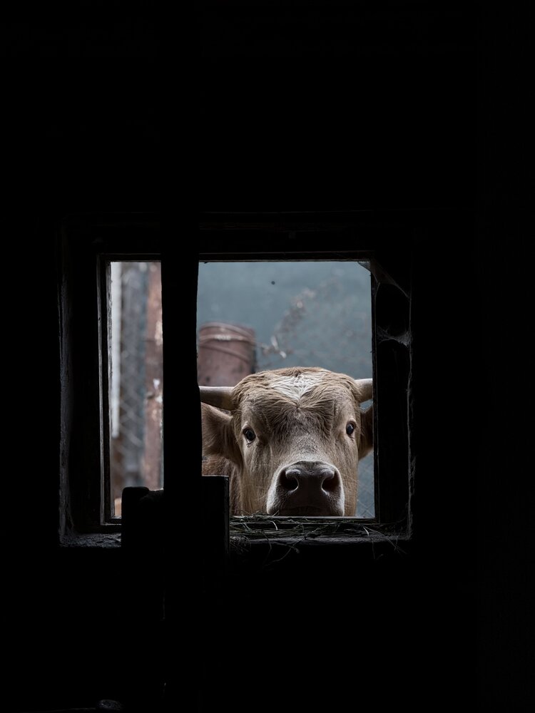 Photograph by Регина Усова