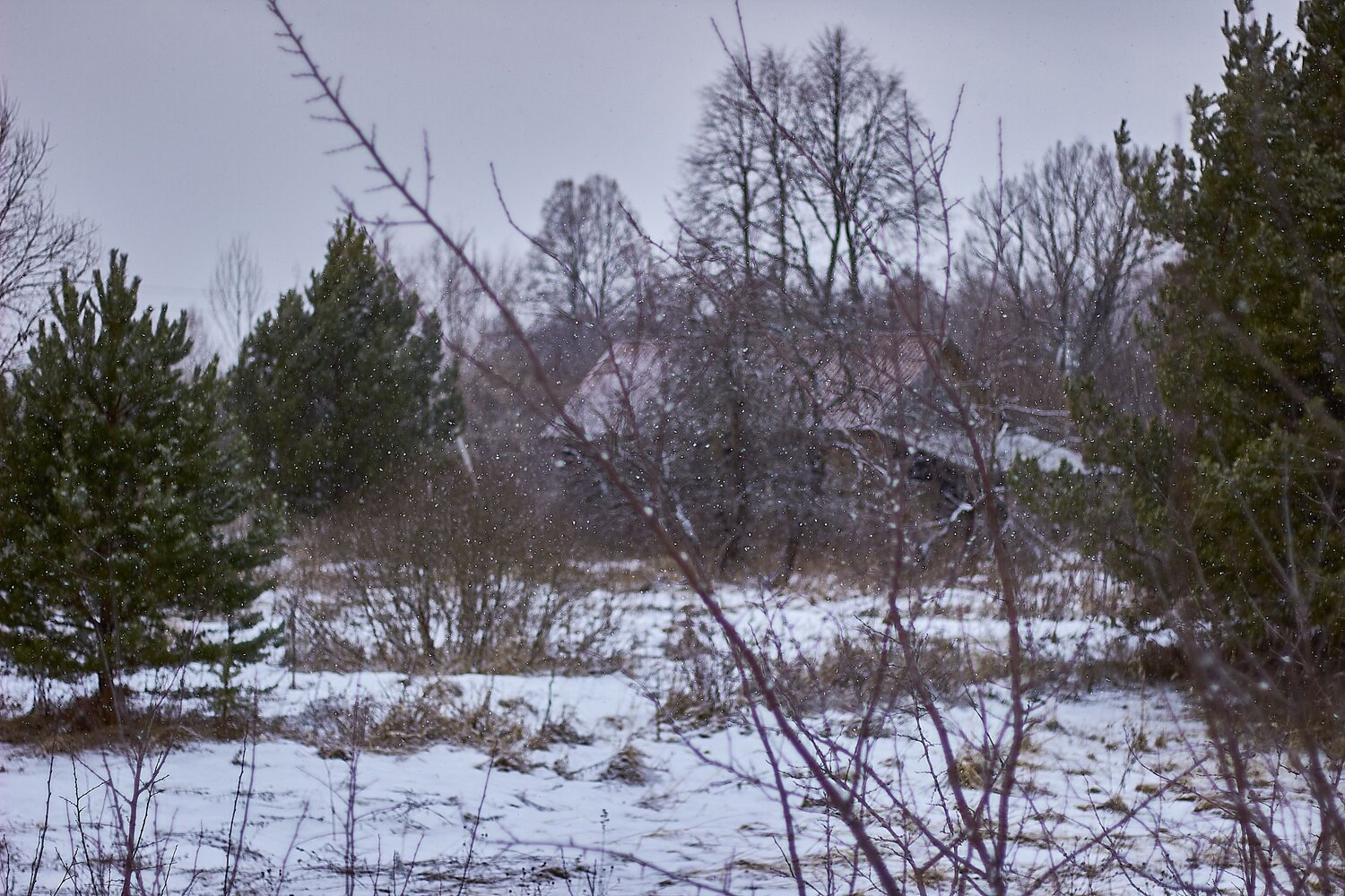 Photo #13820762