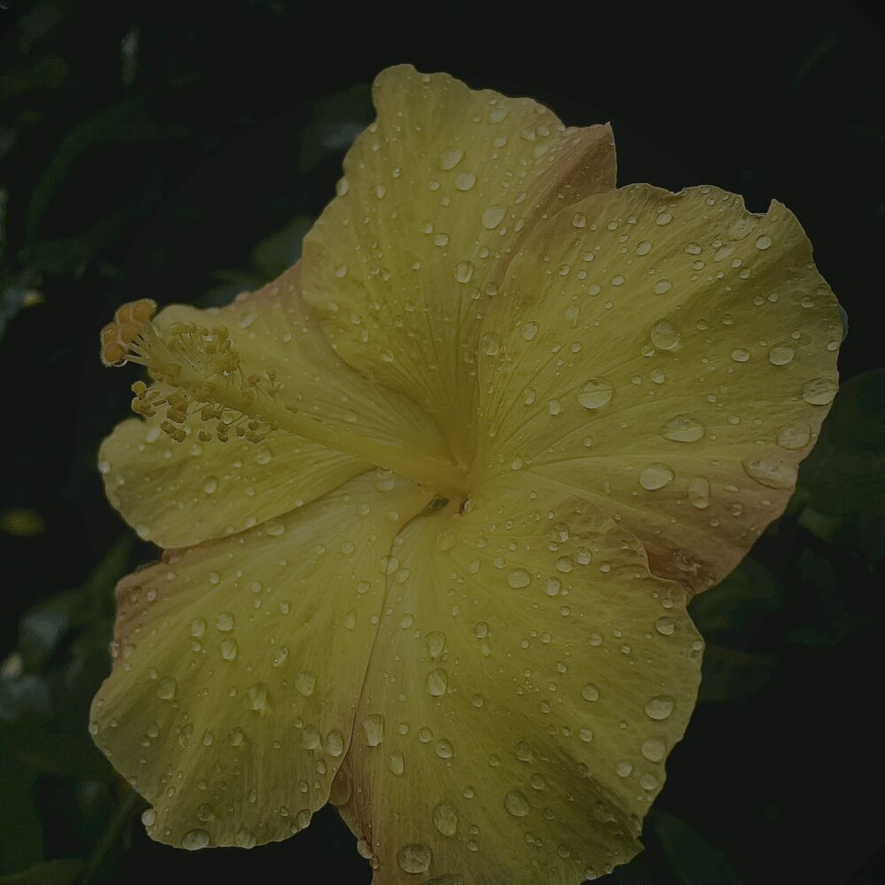 Photograph by Akhila Raj