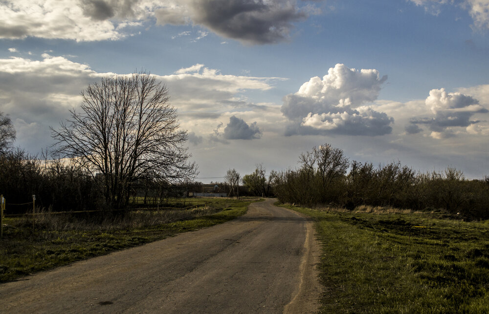 Сельская дорога