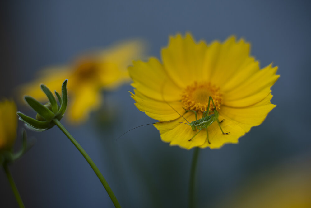 Photograph by Наталья Ткаченко