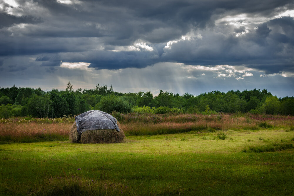 Photograph by Грязев Сергей