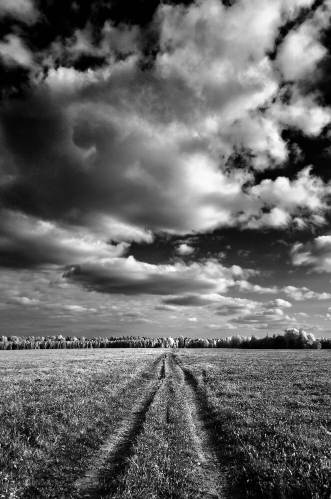 Photograph by Грязев Сергей