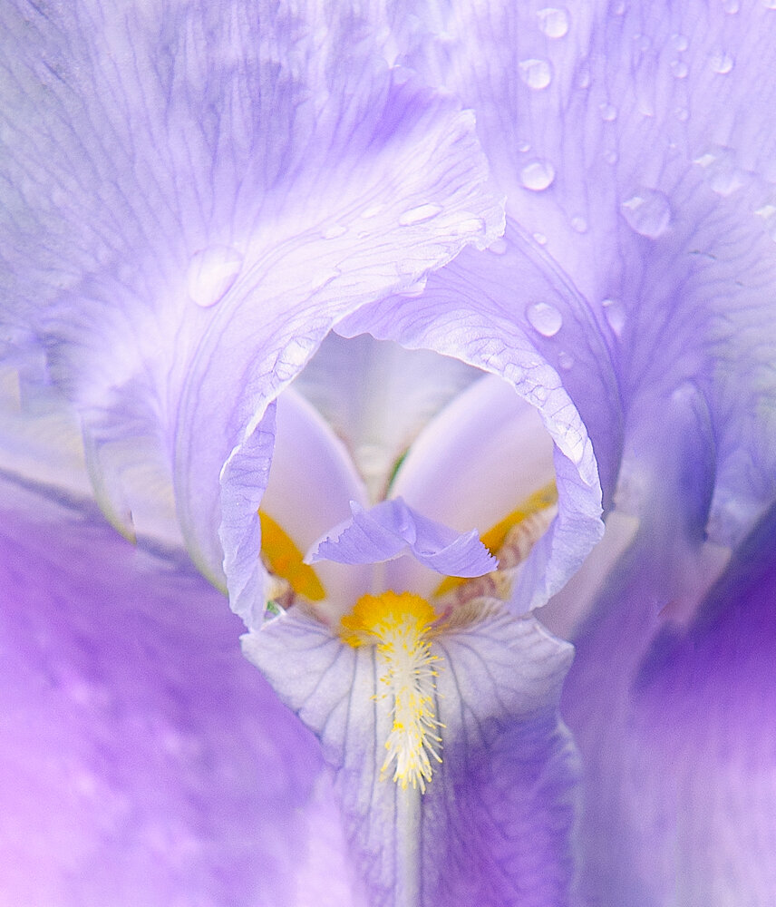 Photograph by Ирина