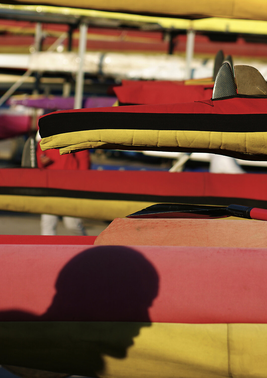 Photo #13820987
