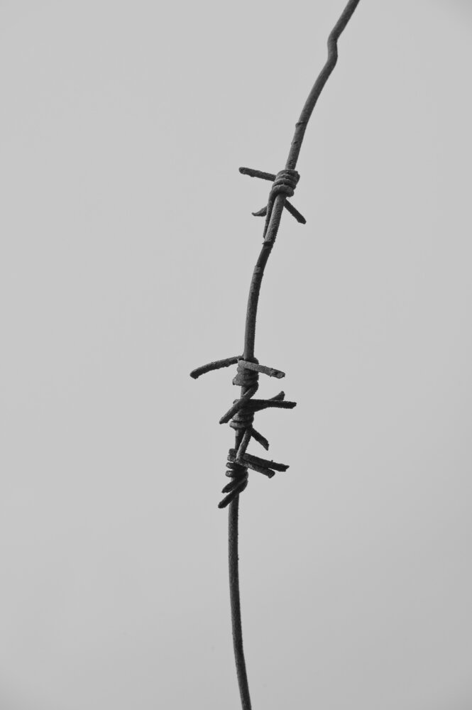 Photograph by Максим
