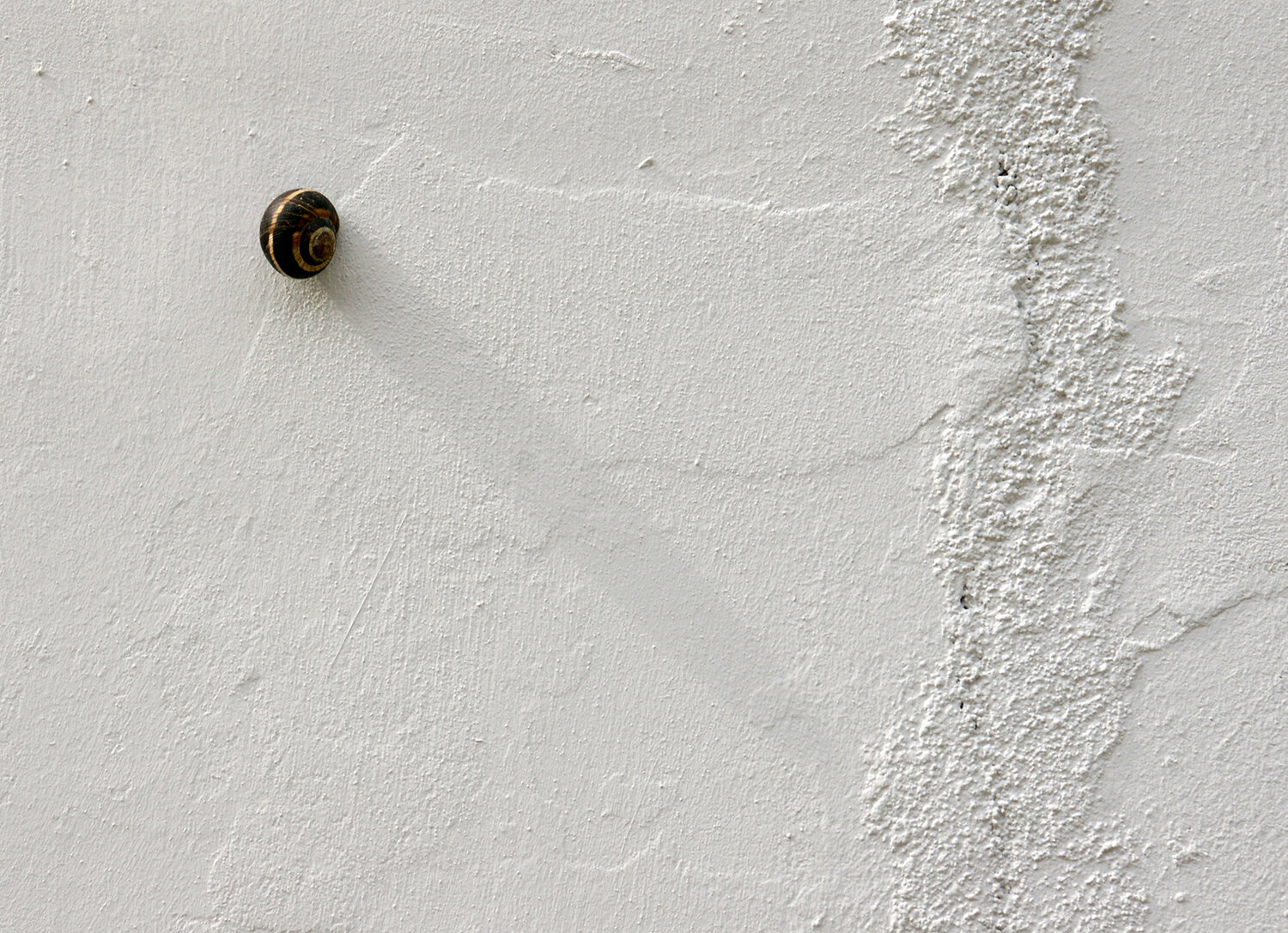 Photo #13821015