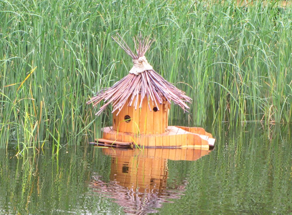 Photograph by Николай Горбачёв
