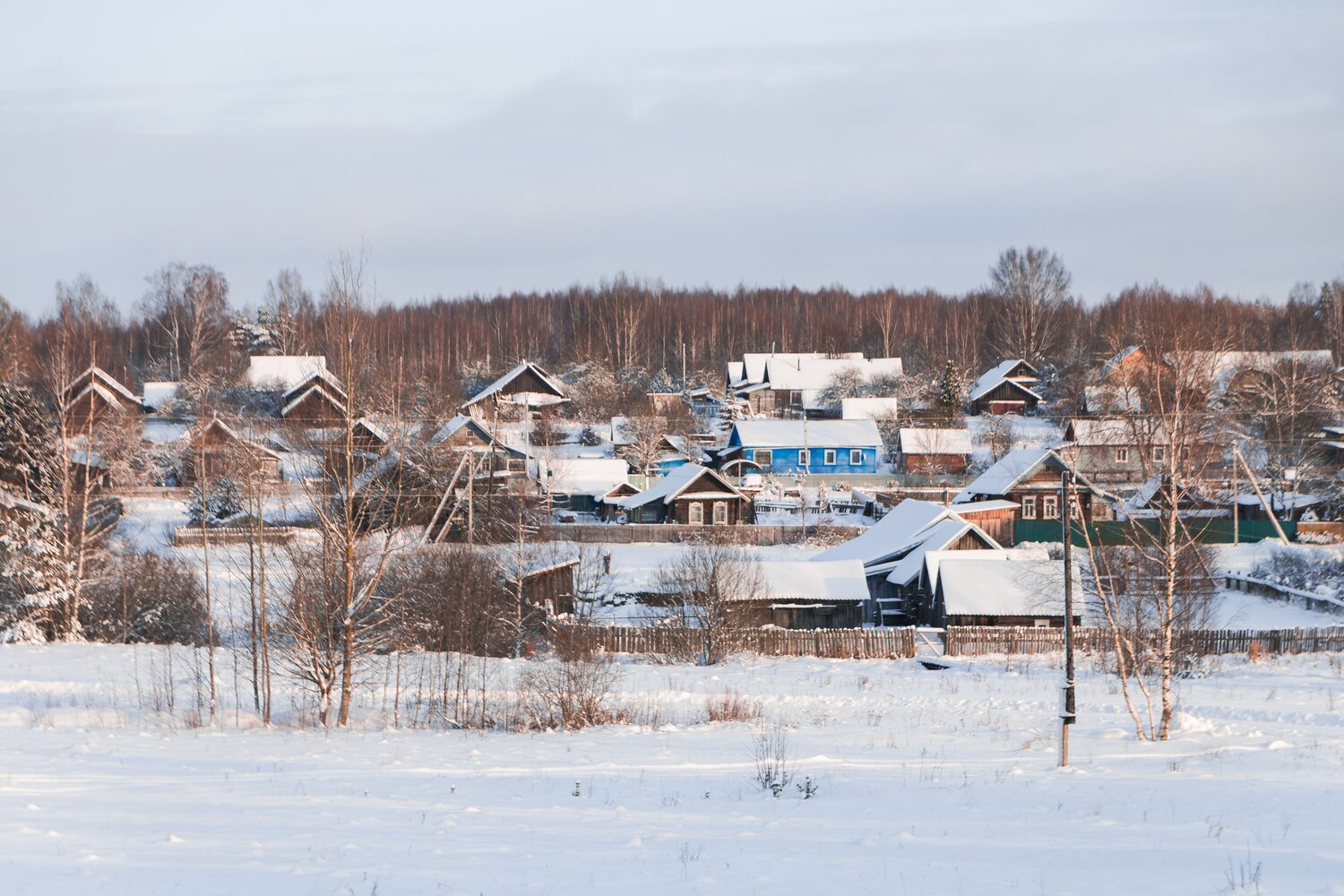 Photo #13821177