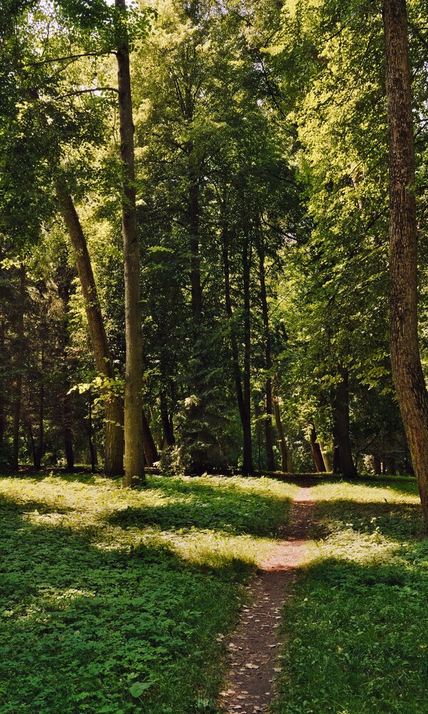 Photograph by Сергей Куликов