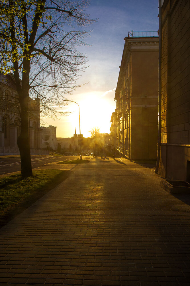 Photograph by Нестеренко Светлана