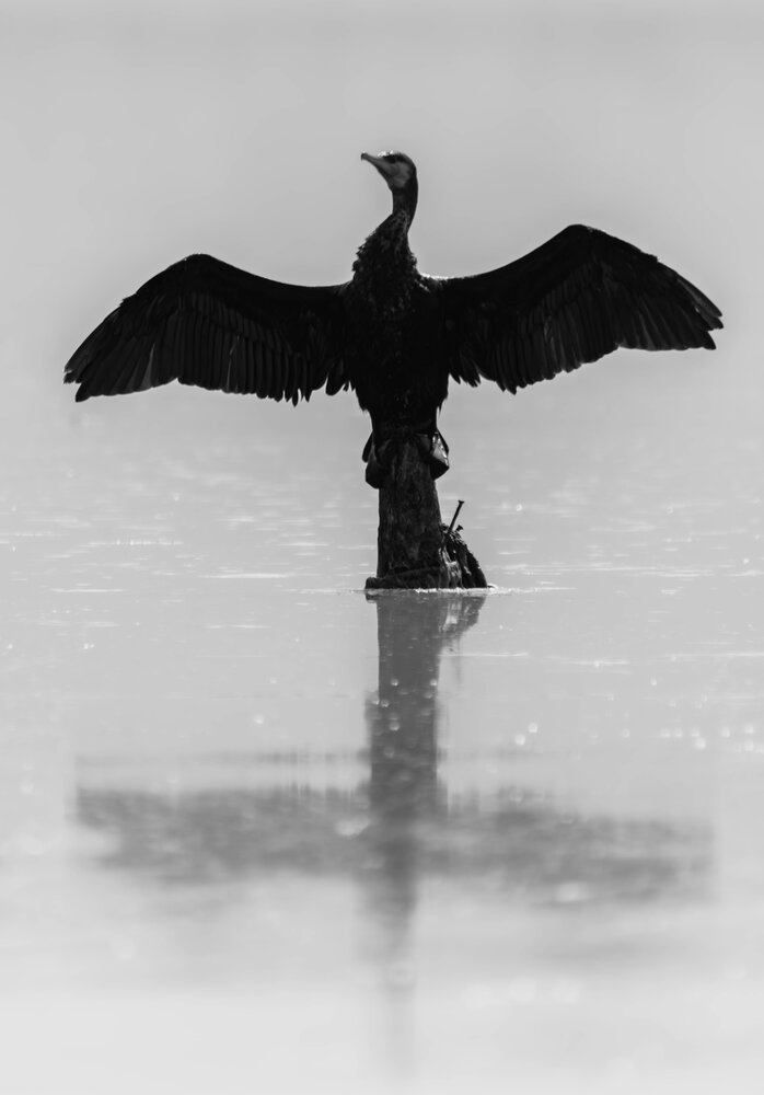 Photograph by Milan Djordjevic