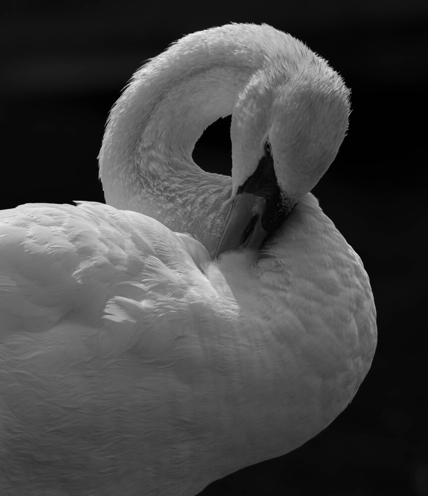 Photograph by Milan Djordjevic