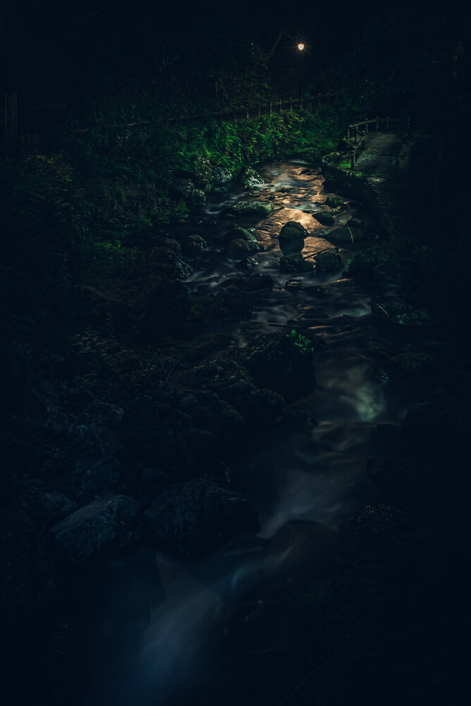 Where the Light Finds the Stream