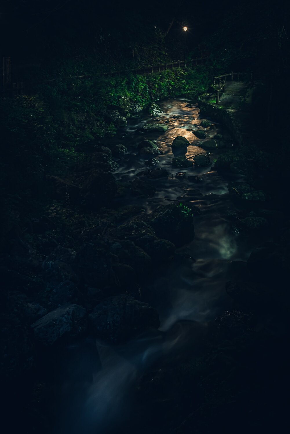 Where the Light Finds the Stream