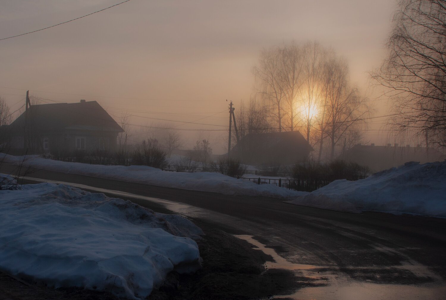 Photo #13821290