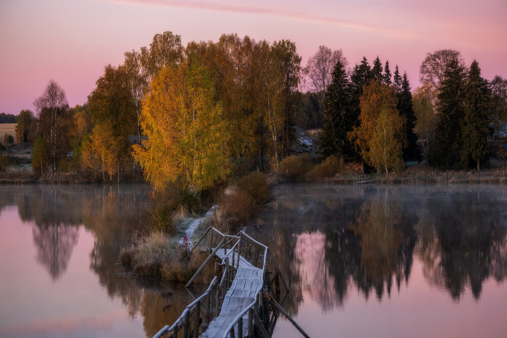 Фотография автора Дмитренко Екатерина