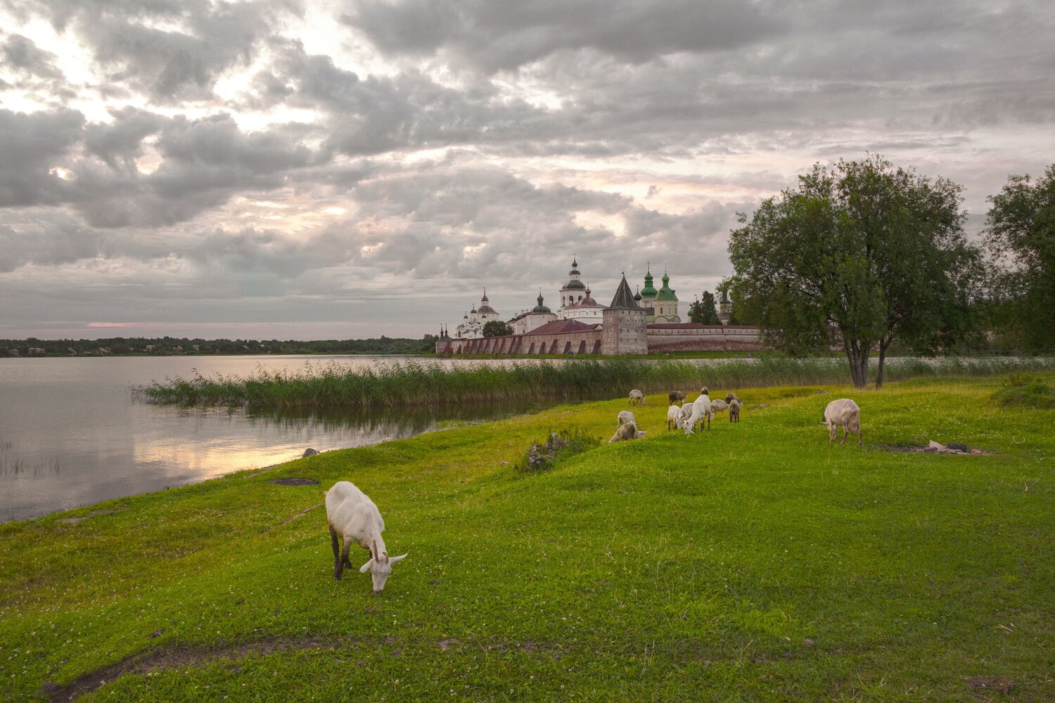 пастораль