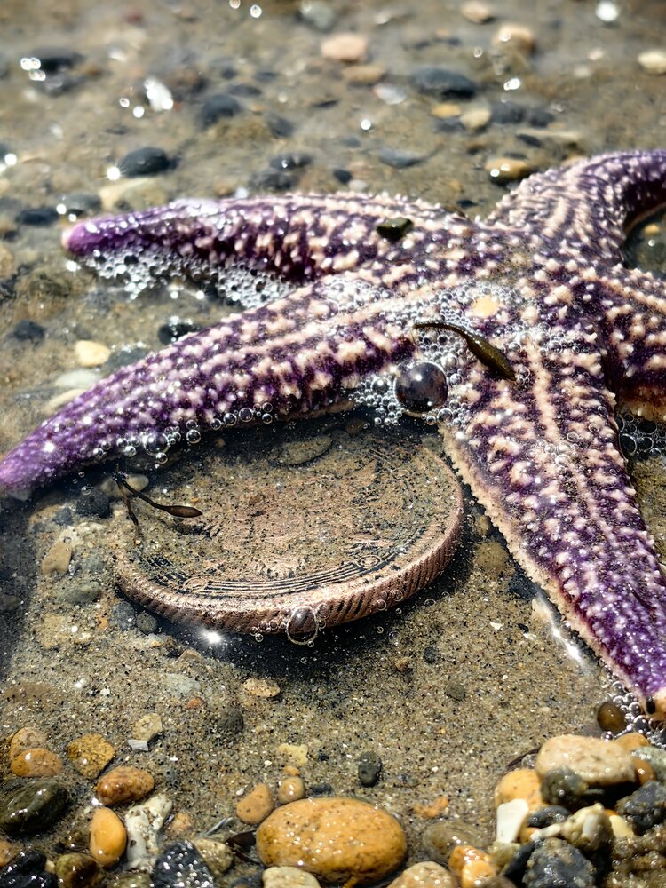 Photograph by Rusik Vladivostok