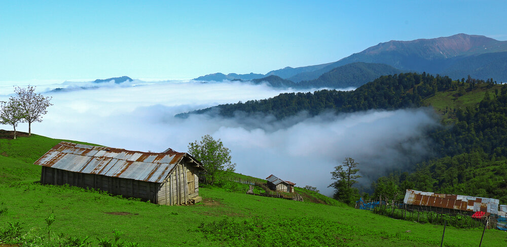 Photograph by mohsen biazar