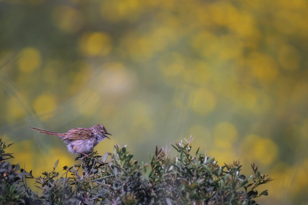 Photograph by Марина Ческис