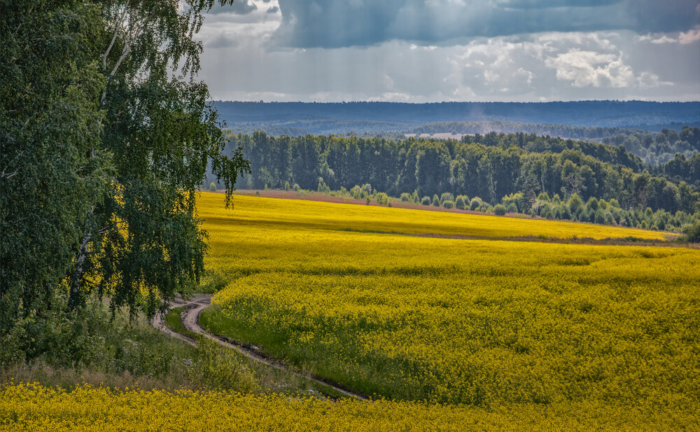 Photograph by Юдинских Марина