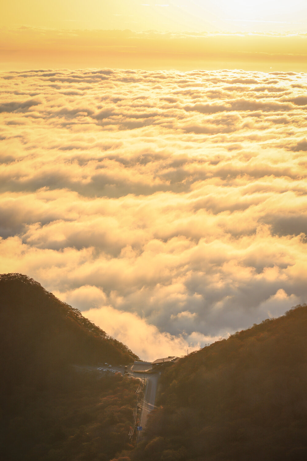 Photo #13821502